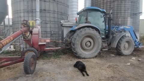 Grinding/blowing corn into silo