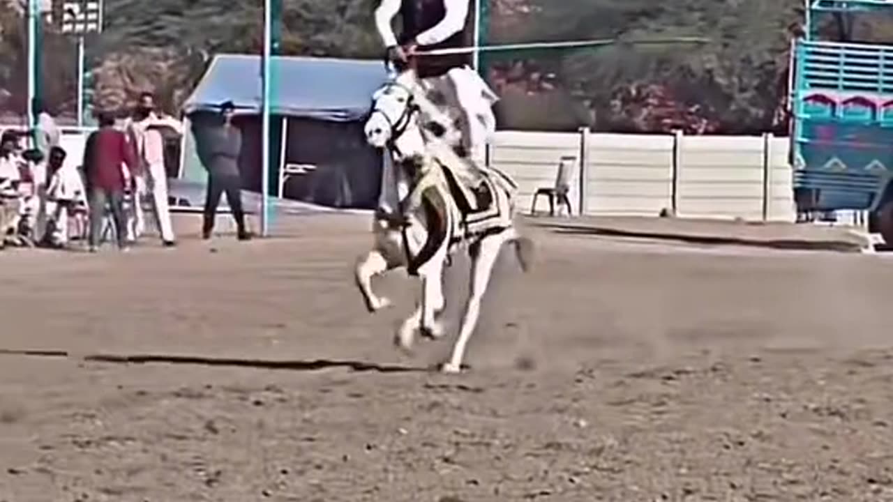 Horse riding skills