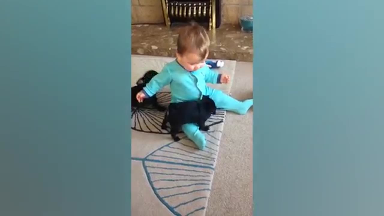 Best Funny Baby Videos Will Make You Laugh - Cute Baby Videos