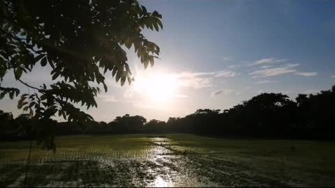 The Sun Warm look Very Crazy | Sky Looking Amazing | The sunny day☀️☀️