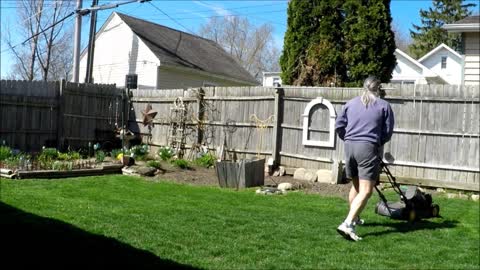 First Backyard Mow For 2019