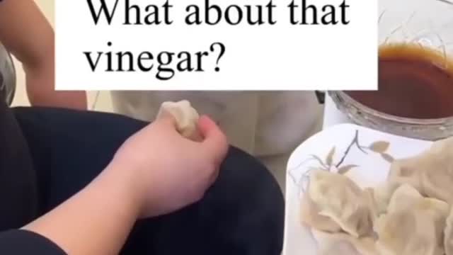 Dog videos