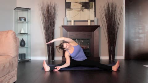 yoga - revolved head to knee stretch left