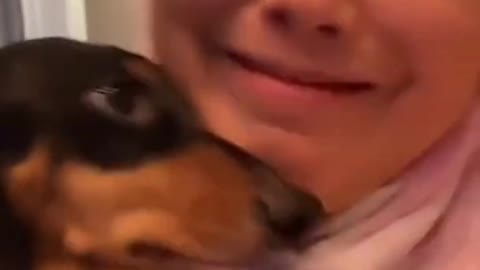 Kiss the dog's forehead, how does it react?