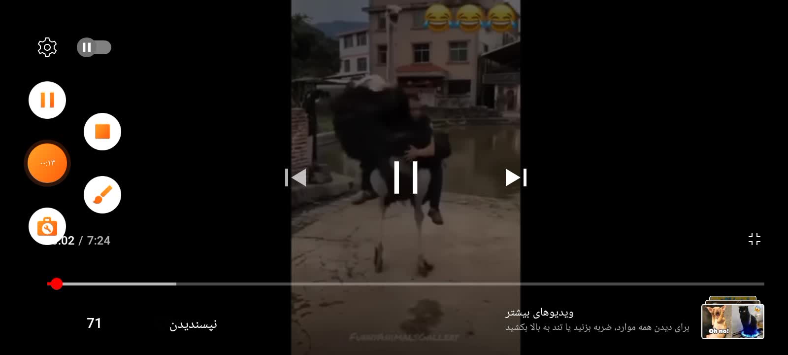 The best short videos of strange animals