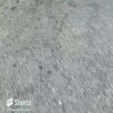 crypto fear of missing out! #fyp #shorts