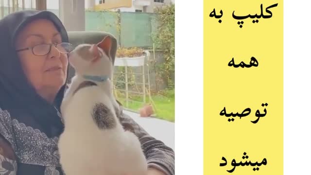 Everyone is recommended to watch this clip