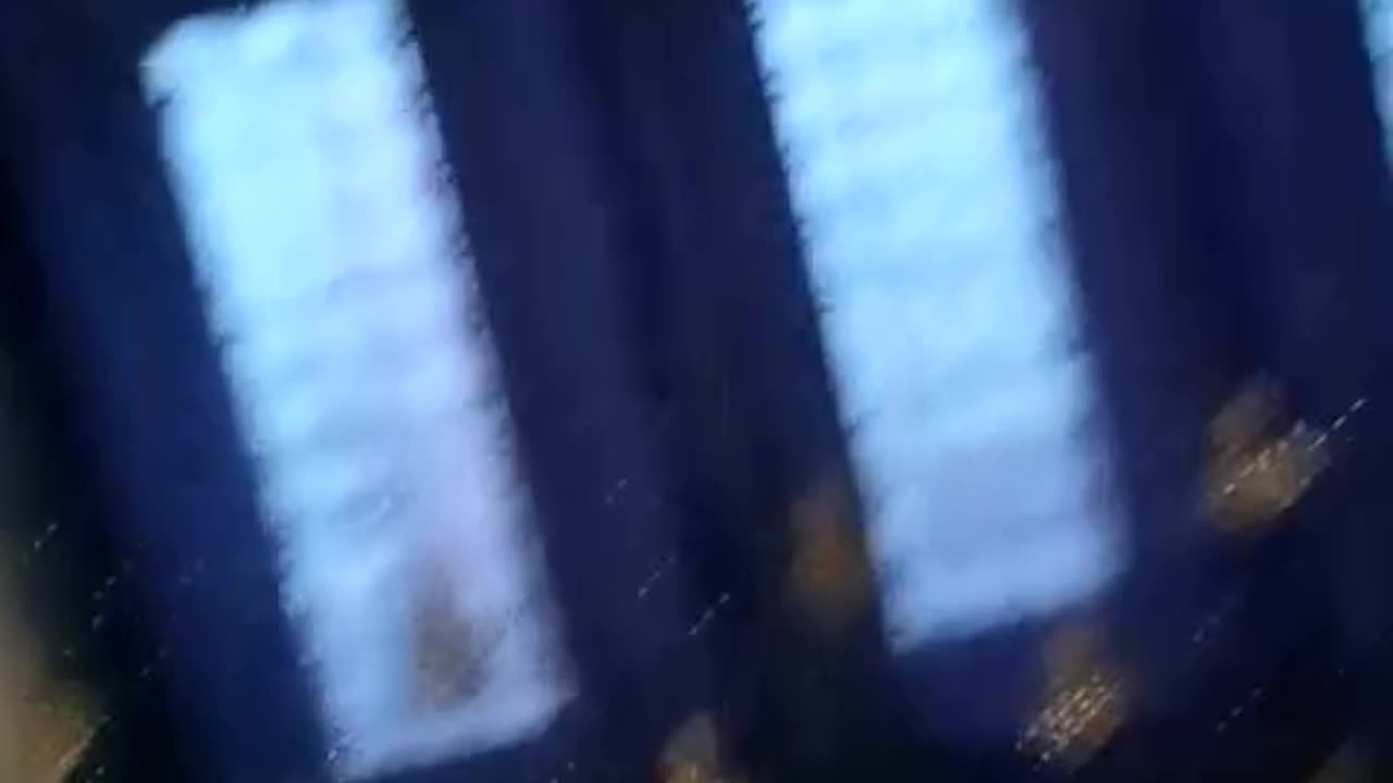 Live Stream Must Watch