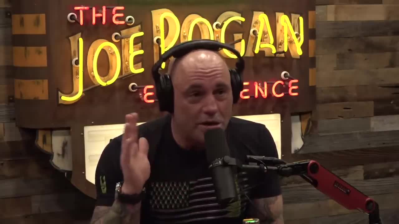 Kyle Rittenhouse's Acquittal - Joe Rogan Experience