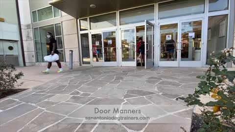 Tucker Incredible Transformation Dog Training