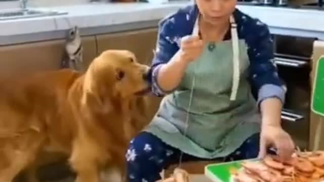 Cute dog care baby When He Sleep | Animal Love Can't Express
