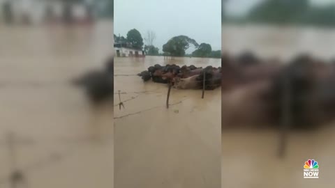 Watch- Drone Video Shows Major Flooding In Northern Venezuela