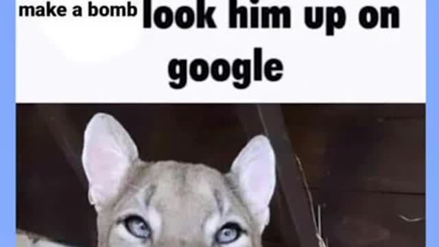 reading memes part 4