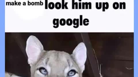 reading memes part 4