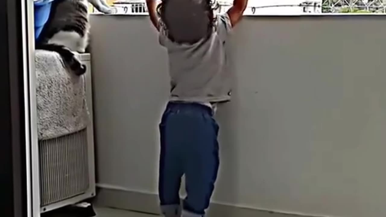 Why are Cats So Kind and Gentle with children?