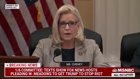 Liz Cheney read text messages that were sent to Mark Meadows