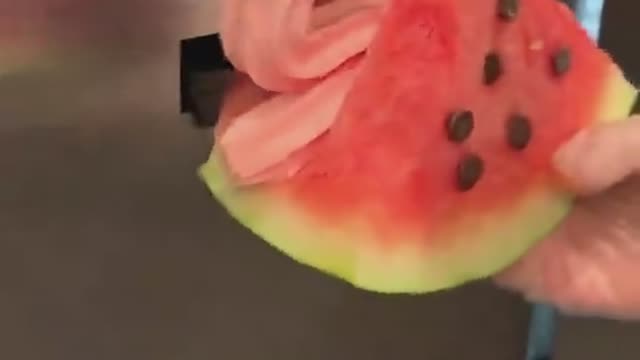 Watermelon and ice cream