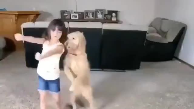 The little girl showed amazing stunts with the pet dog, seeing their exploits will be rolling