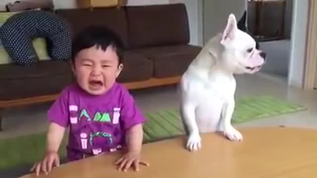 Cute baby and doggie