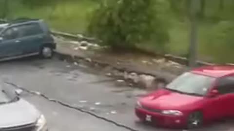 Danger!!!