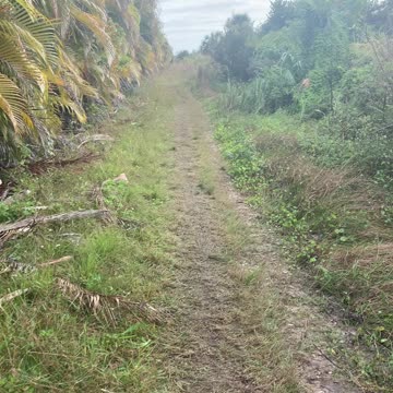 Estero nature trail path begins