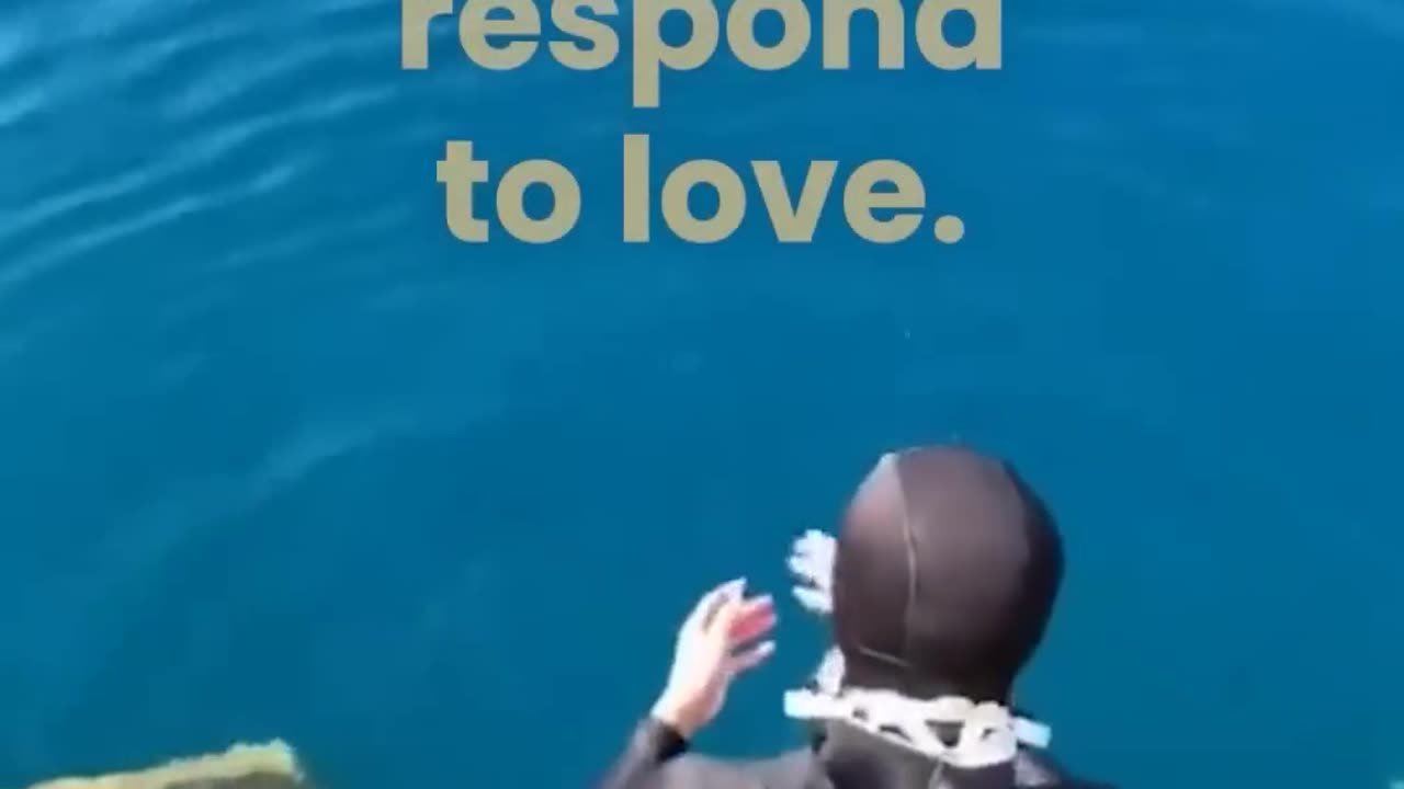 When Animals Love You