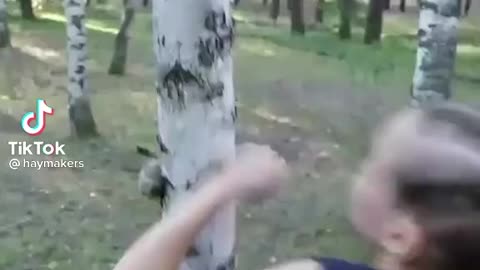 Baby Girl Fights Punches Tree And Wins!