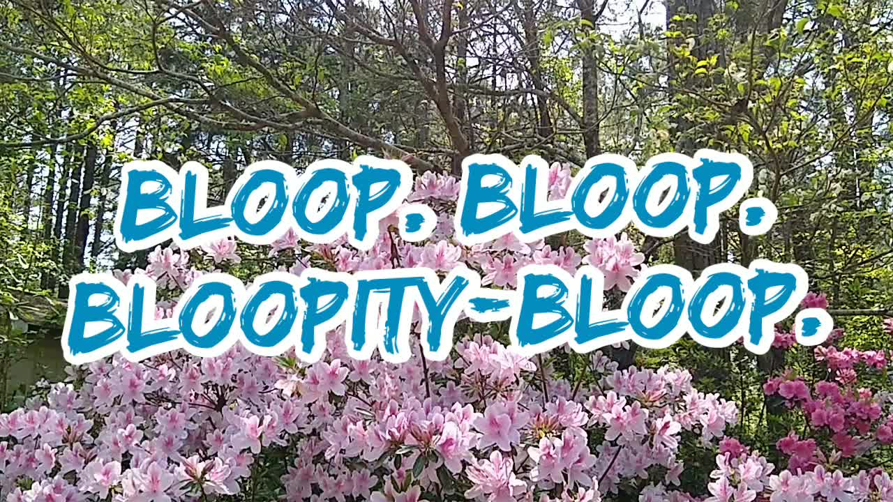 Bloopity bloop