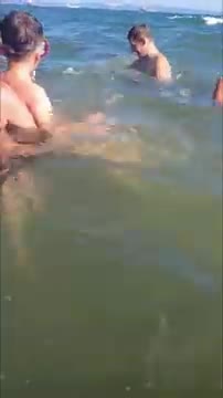 Beluga Whale Visits Public Beach