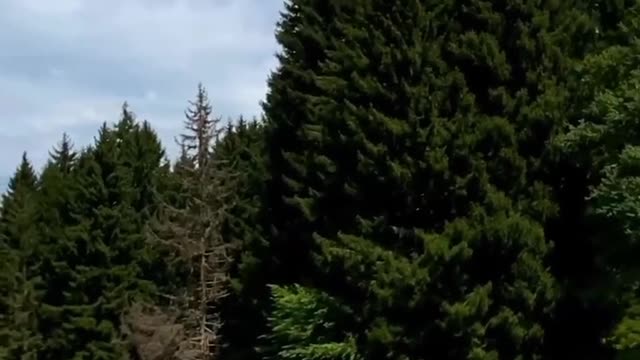 Beautiful Nature