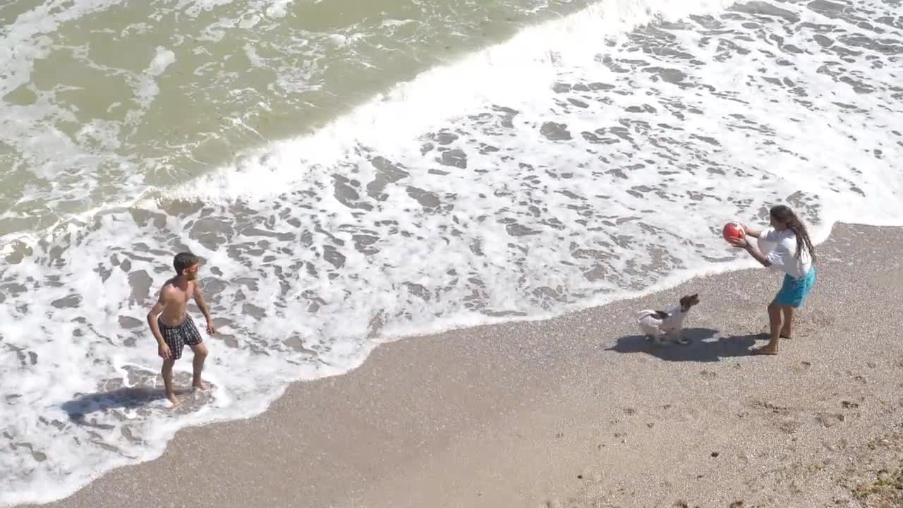 Funny Animals Dog enjoy to man 2022 for rumble