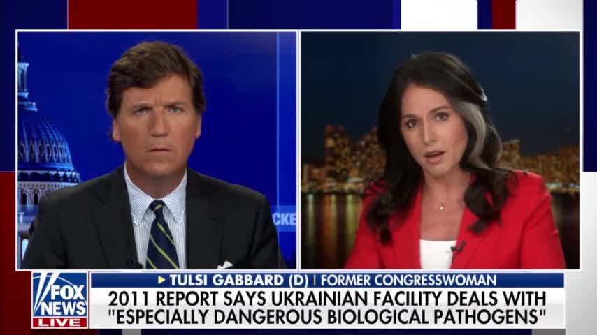 Tulsi Gabbard talks to Tucker Carlson about the Biolabs in Ukraine