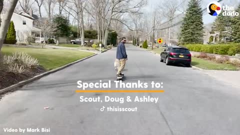 Dog Loves Taking Her Dad For a Ride | The Dodo