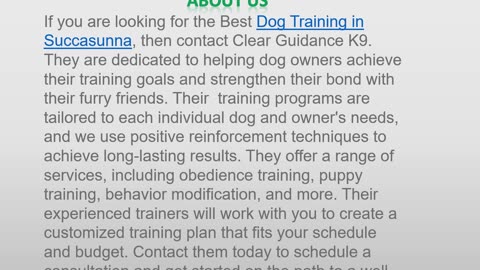 The Best Dog Training in Succasunna
