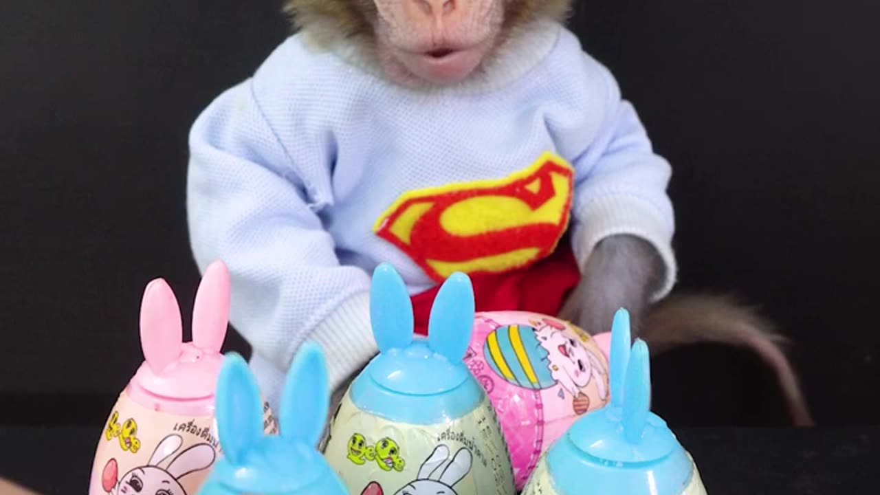Monkey