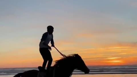 Teenager riding a horse on the beach