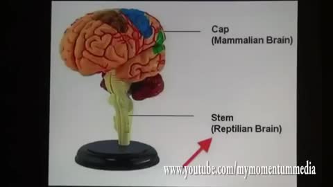 Jordan Maxwell Reptilian Lecture 111111