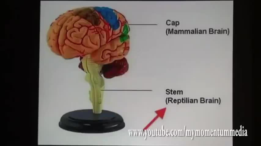 Jordan Maxwell Reptilian Lecture 111111