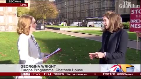 Anti-Brexit protester repeatedly crashes live BBC news interviews