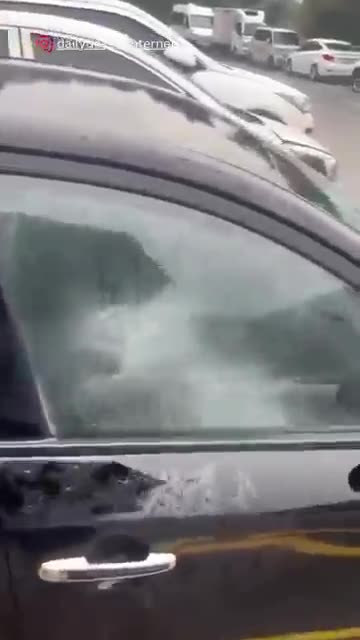 The end 😂😂😂 #funny #fails #shorts #viral #idiotsfolder