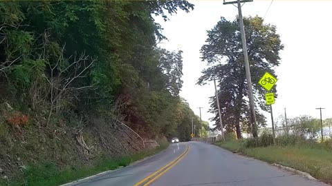 Part White Tailed Deer, part Mountain Goat!
