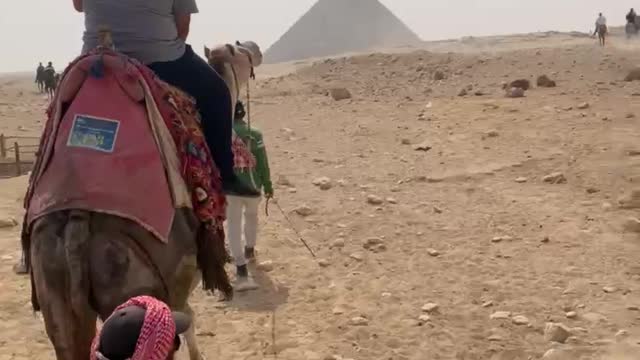 Camel Ride Near To Pyramids Of Giza 2021