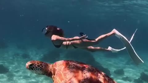 Beautiful scuba turtle diver girl.