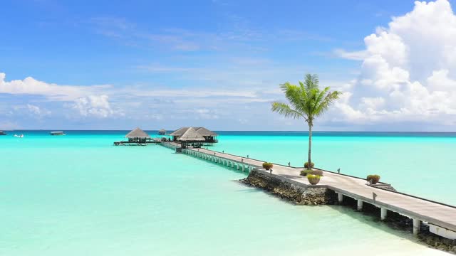 Is this a picture or a live-action? This is where I want to travel.
