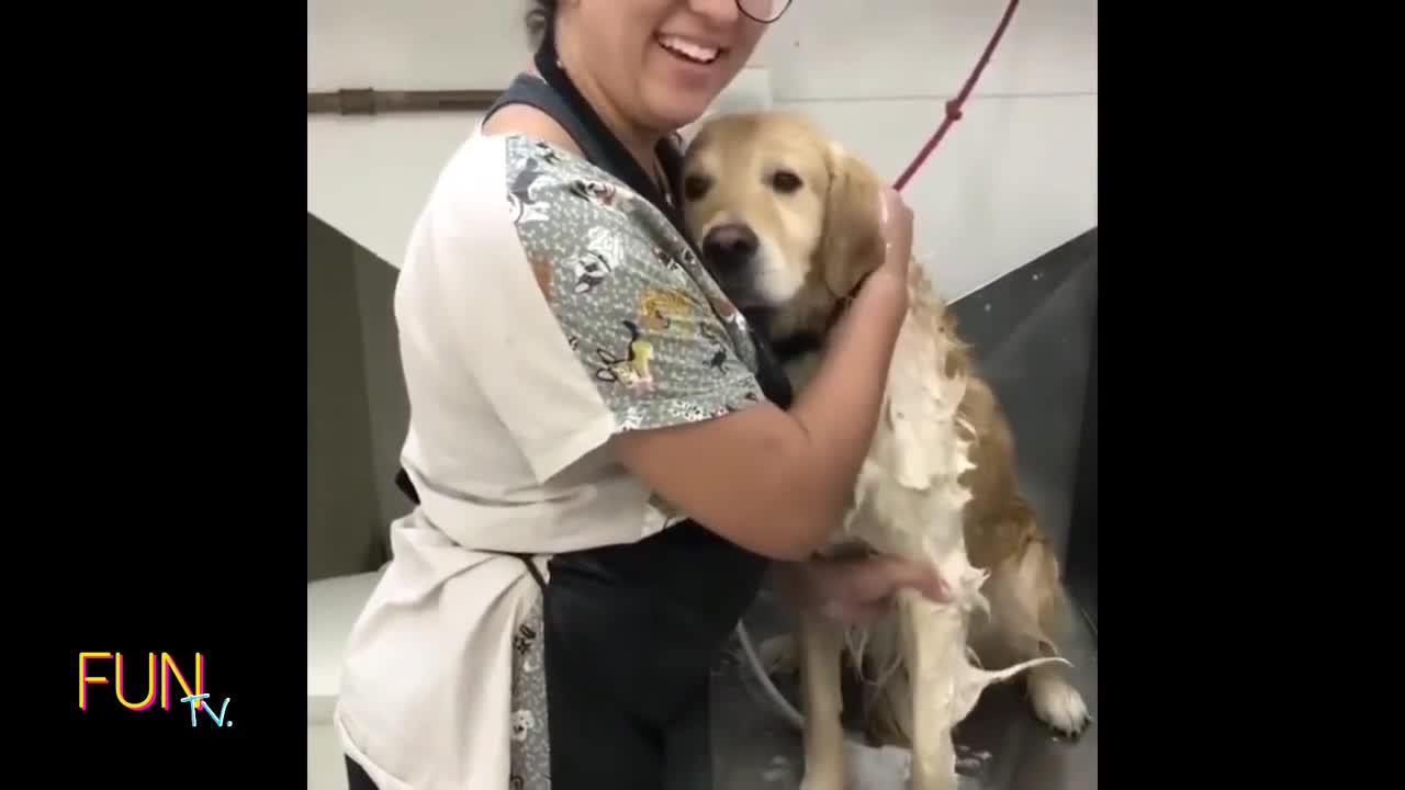Clips include cute dogs