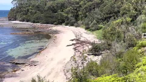 The Beaches and Back Woods of Ulladulla, NSW II