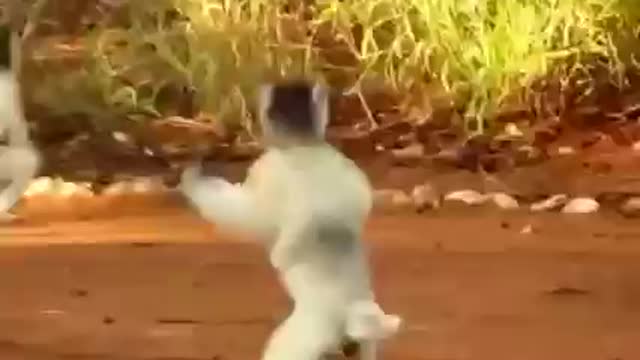 Seeing the child dancing, the mother also started dancing