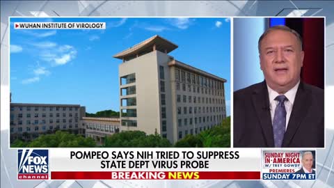 Fauci Saw Everything, Didn't Want Mike Pompeo's Team To Complete Wuhan Lab Leak Investigation