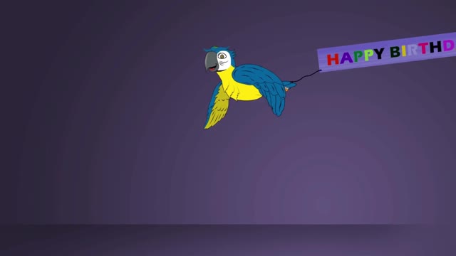 A Day in the Life of parrot happy birthday