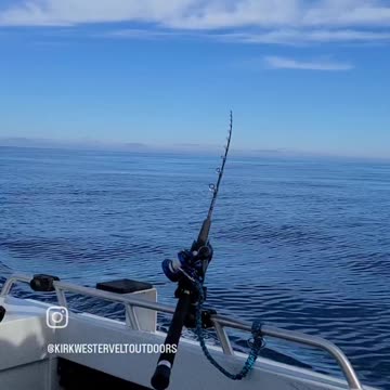 California Tuna Fishing